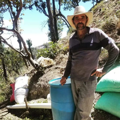 VOTE FOR PEDRERO