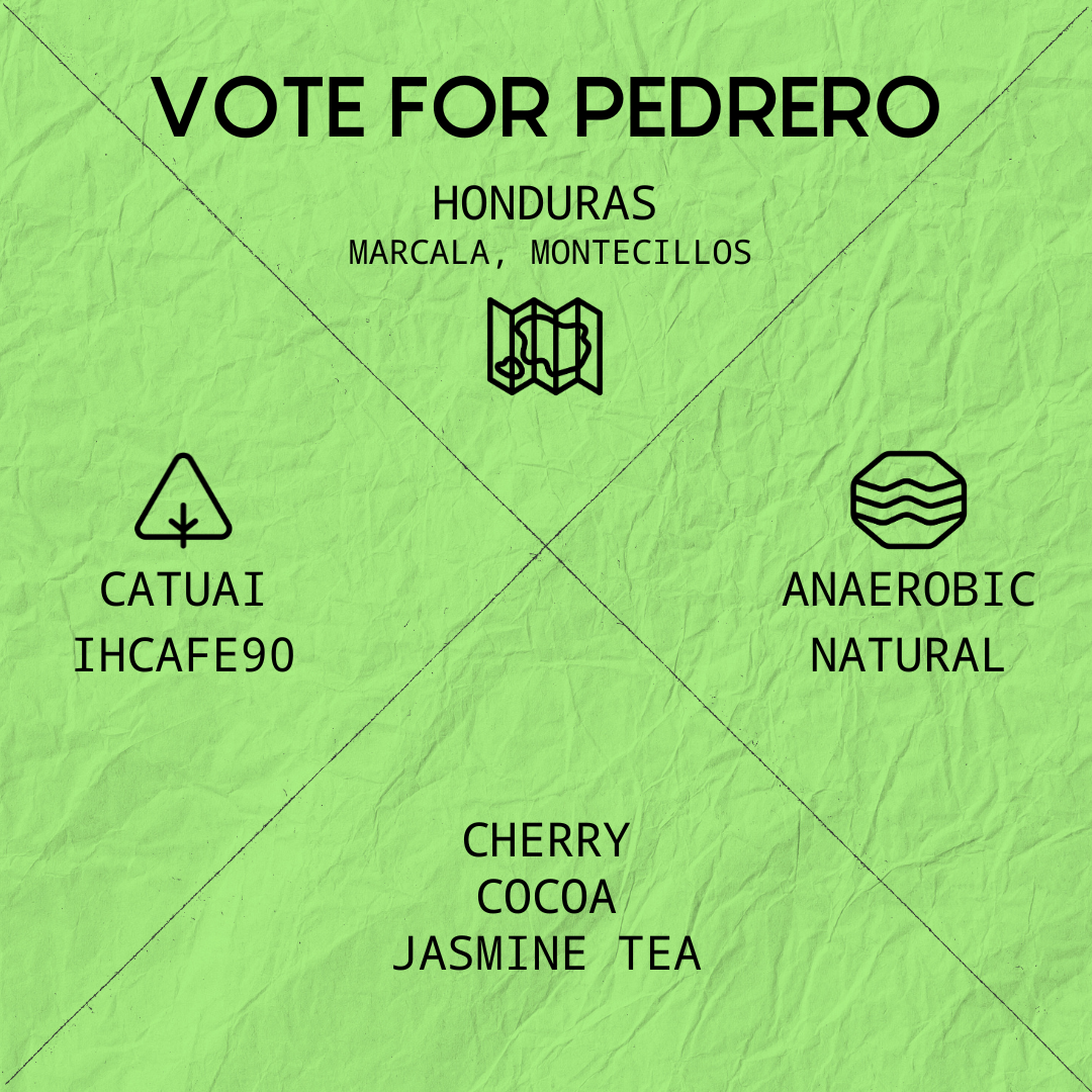 VOTE FOR PEDRERO
