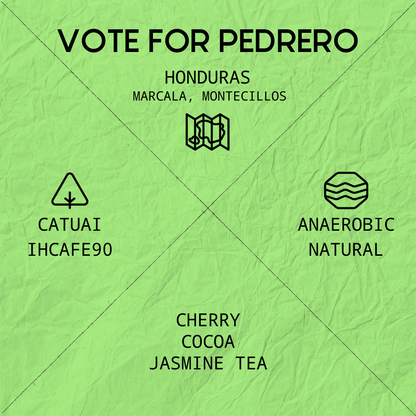 VOTE FOR PEDRERO