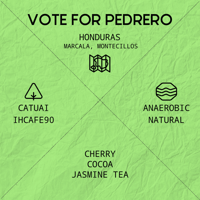 VOTE FOR PEDRERO