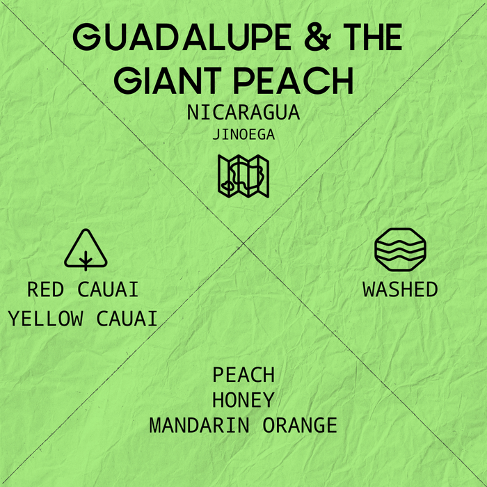 GUADALUPE & THE GIANT PEACH