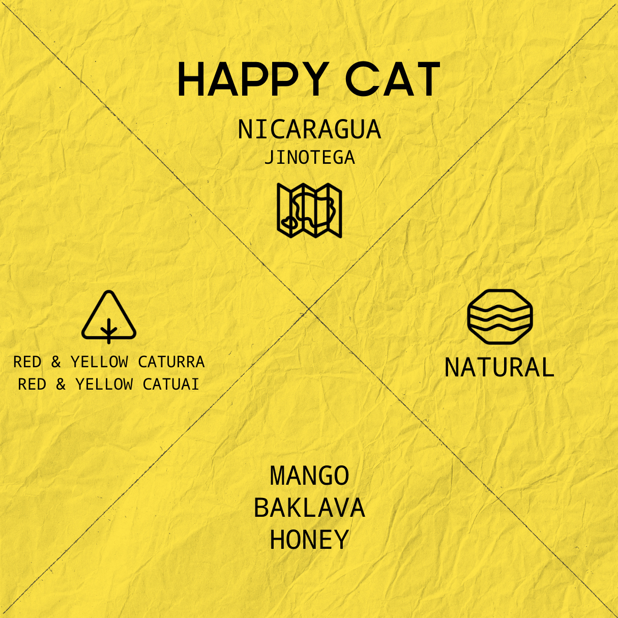 HAPPY CAT
