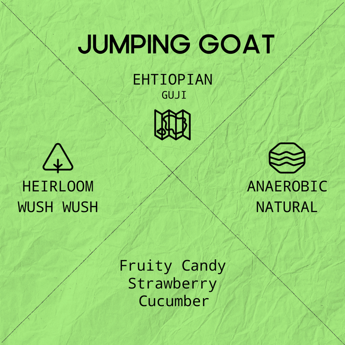 JUMPING GOAT