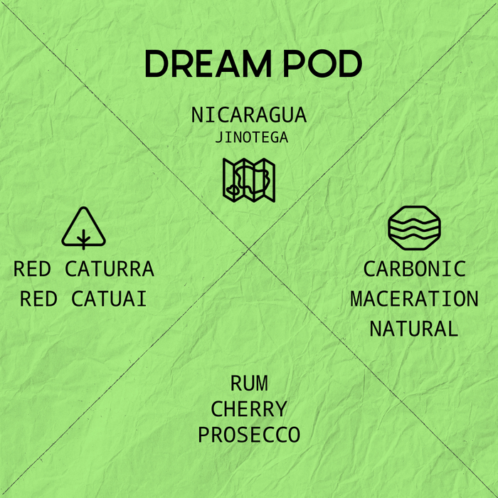 DREAM POD