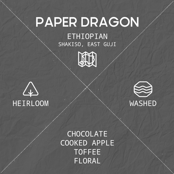 PAPER DRAGON